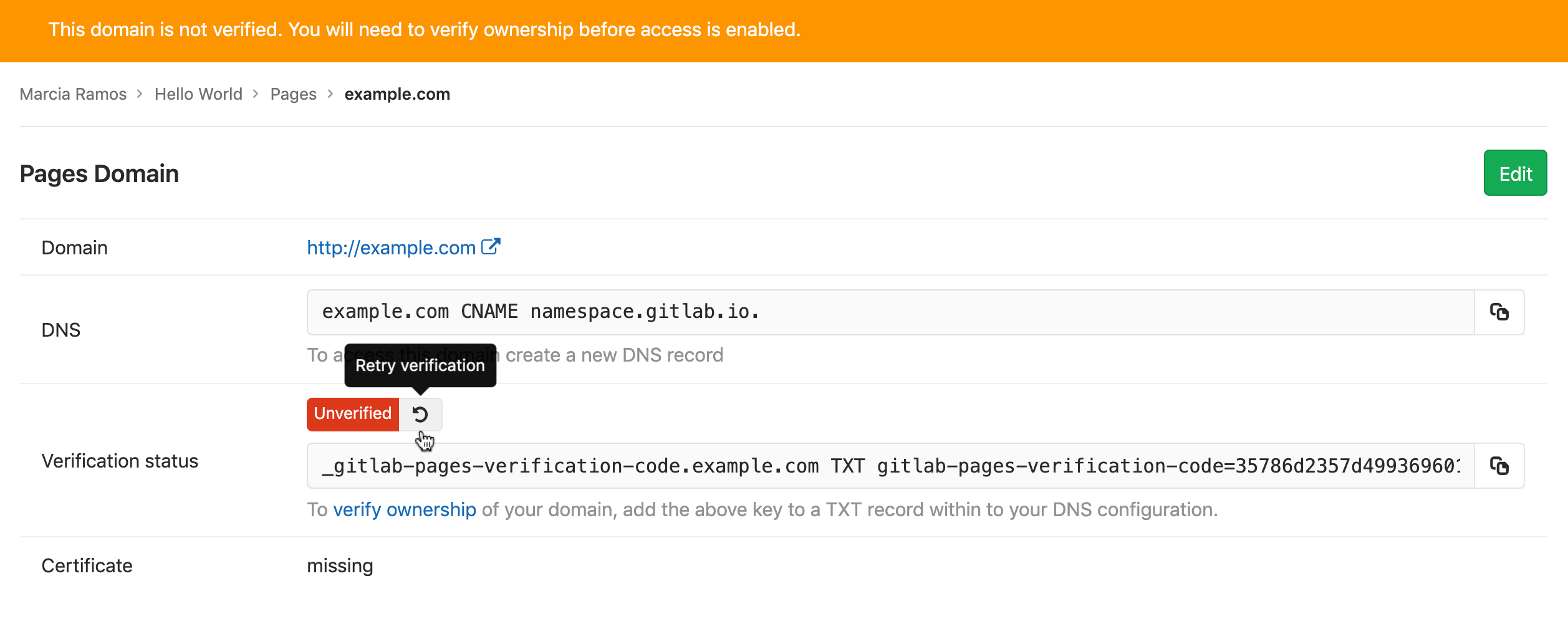 GitLab Pages settings showing the Retry verification option for a domain.